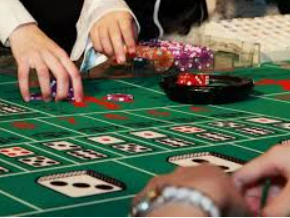 彩神vll购彩手机版